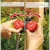 imageEden 25124 2Zone Mechanical Watering Timer Red Grey2Zone