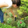 imageEden 25417 Wireless Soil Moisture Sensor for Bluetooth TimerMoisture Sensor