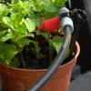 imageEden 99942 Micro Drip Irrigation Kit