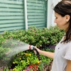 image:imageEden 94050 50 Ft Hose and Metal Shower Nozzle Bundle WQuick Connect Starter Set DIY Gardening Tools